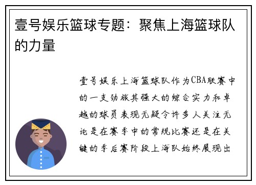 壹号娱乐篮球专题：聚焦上海篮球队的力量